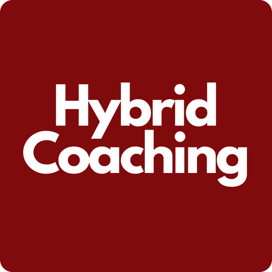 Hybrid Coaching System - Leistungsathlet